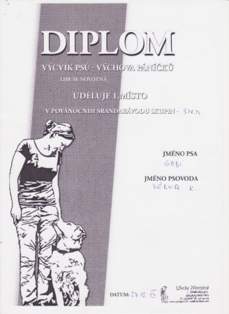 Závody na cvičáku