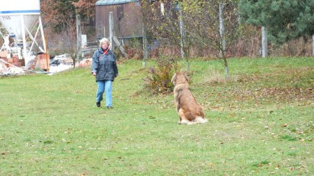 BH - odložení vsedě