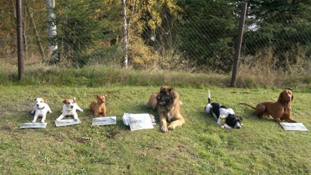 Naše parta v Nejdku