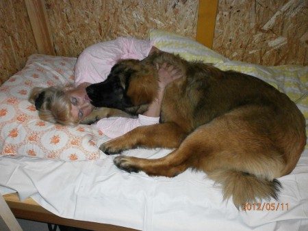 Odpočinek před výstavou