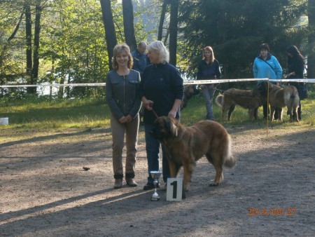 Zubří, podzim 2014