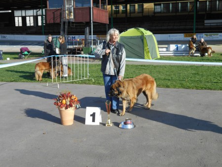 Evropská SVL Brno 2014