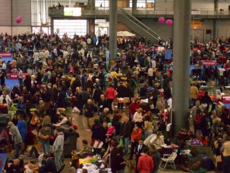 Mraveniště, Brno 2014