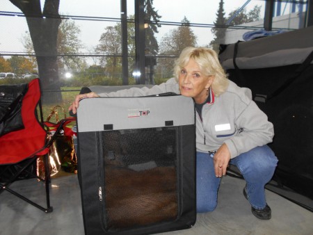 Dlouhé čekání, Brno 2014