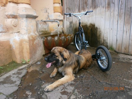 Sem jezdíme pro vodu