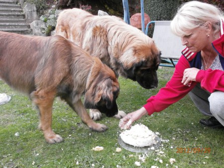 Slavíme s bráchou 1.narozeniny