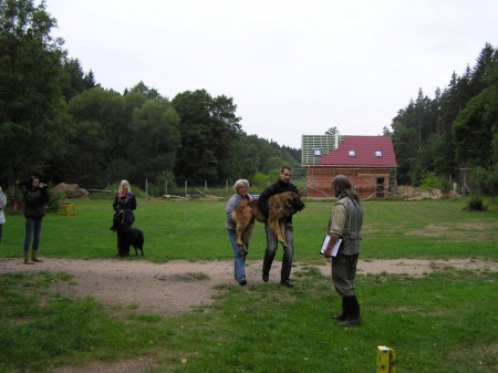 Při přenášení na to panička sama nestačila :-)