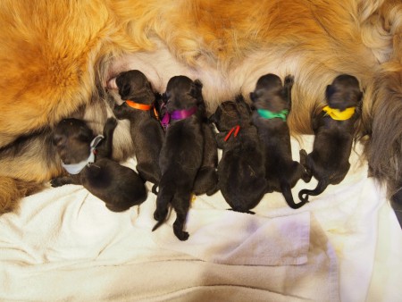 Druhý den po porodu