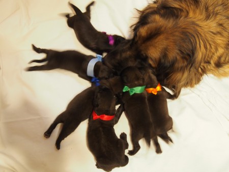 Copak jim asi povídá?